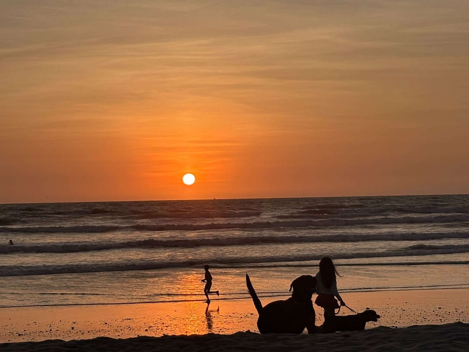 Siluetas de una niña con perros y una persona corriendo en la orilla al atardecer